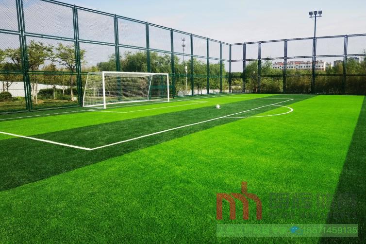 山東青島平度2020公園東北角籠式足球場